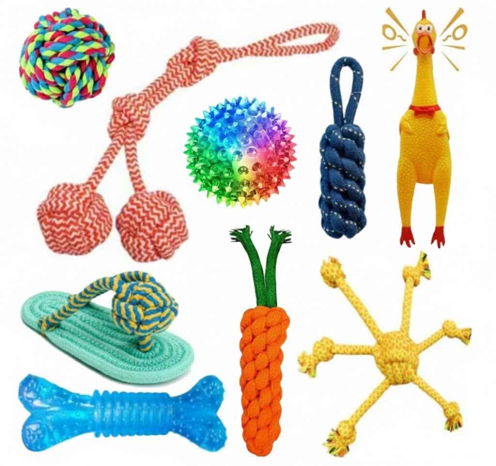Pawezzy Durable Dog Chew Toys Combo Pack  MultiColor Rope Toys, Rubber Squeaky Chicken, Spiked Ball, Braided Carrot & Bone Che