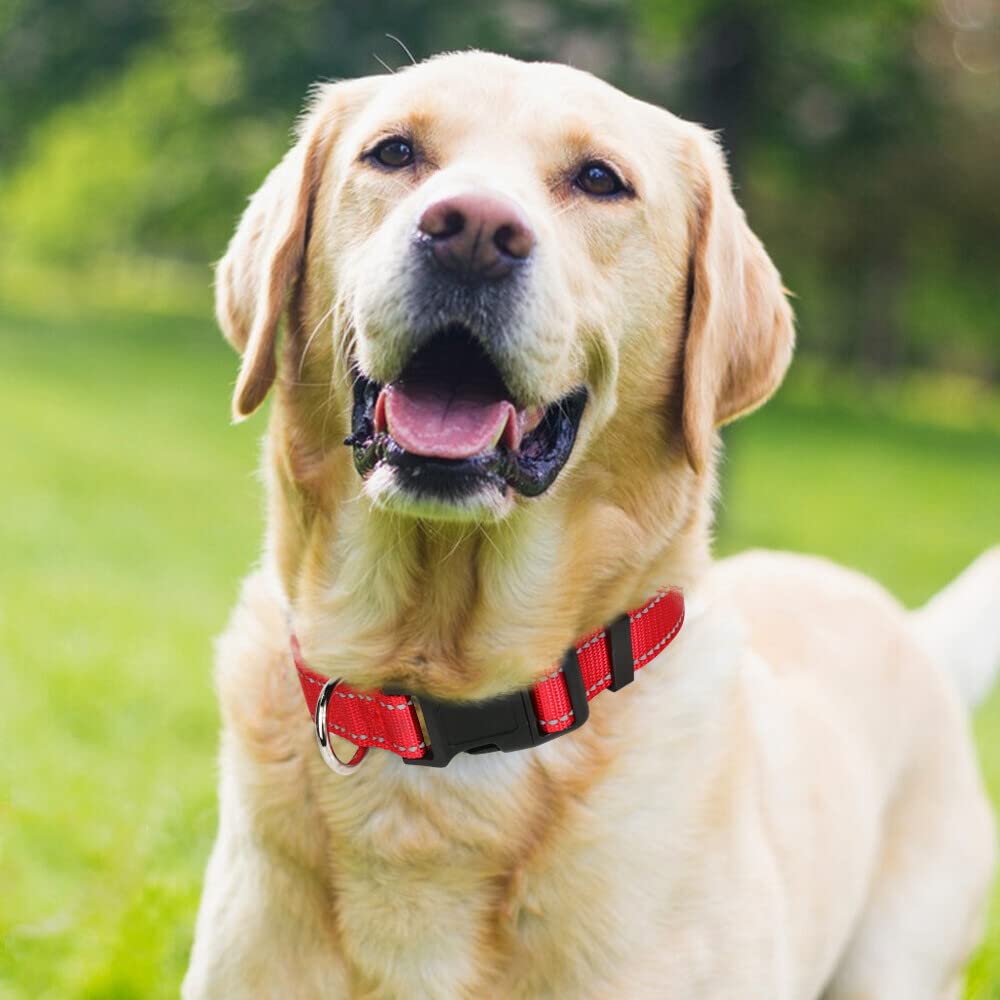 Taglory Reflective Adjustable Dog Collars For Puppy Small Medium Large Dogs, Thin Nylon Webbing And Quick Release Plastic Buckle(Red,Large)