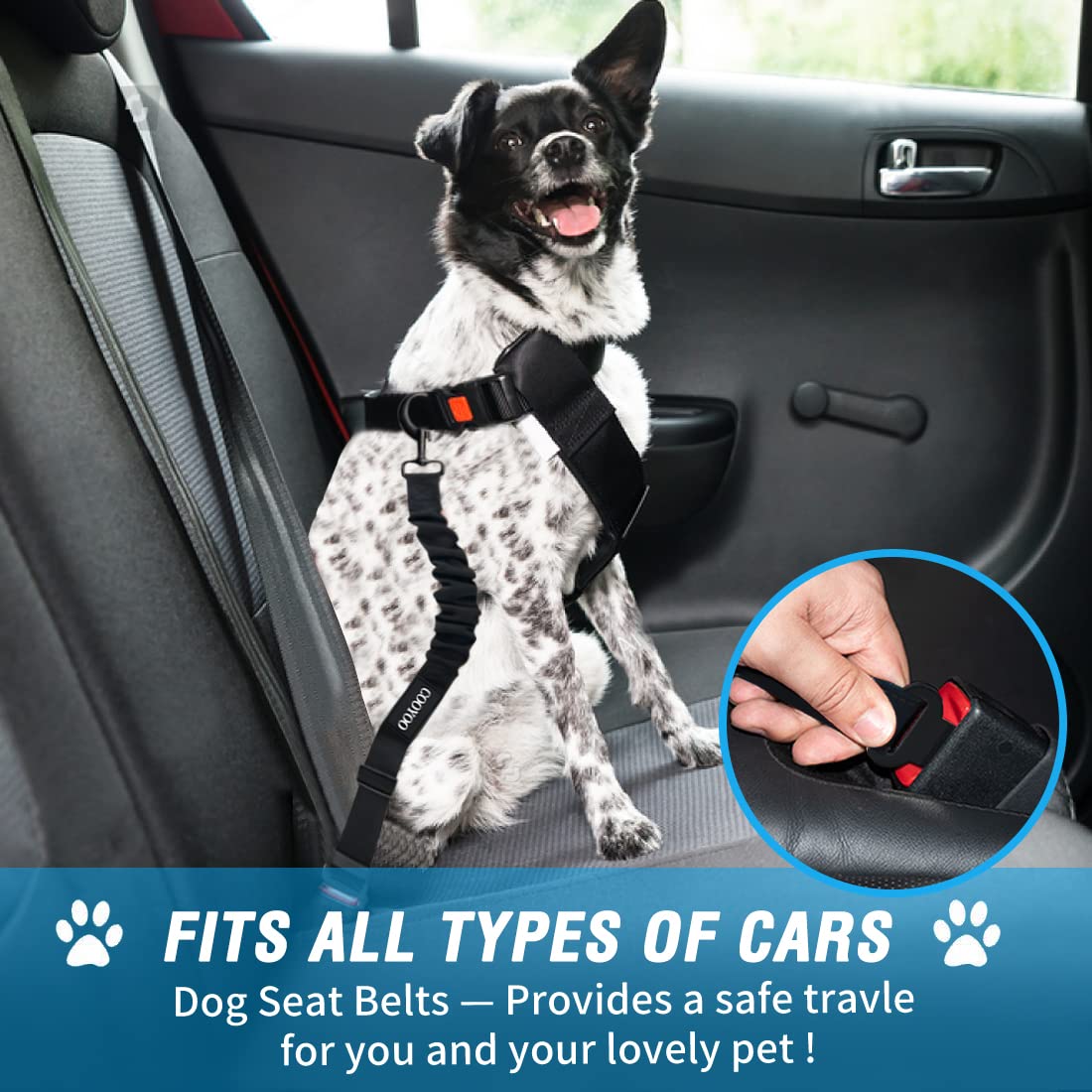 COOYOO Dog Seat Belt Set - 3 Adjustable Retractable Nylon Car Harnesses, Heavy Duty & Durable, Pink and Blue