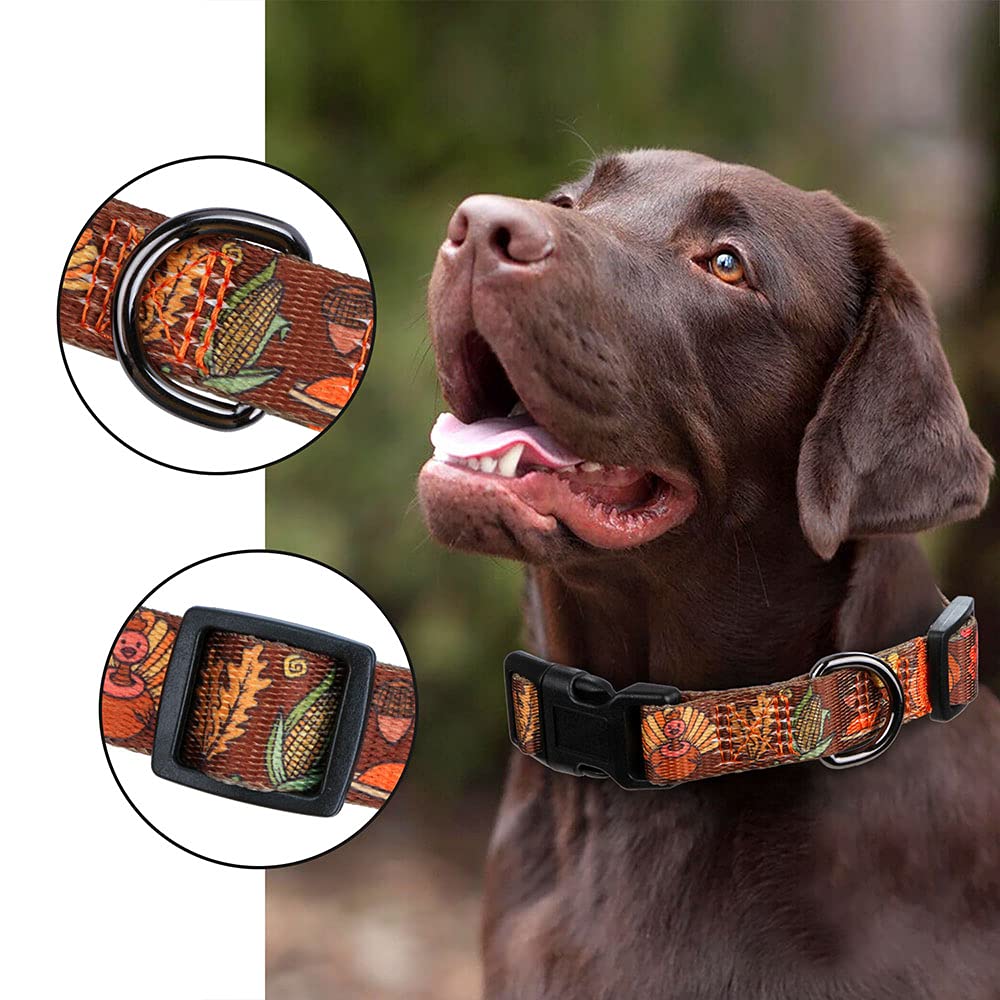 Rhea Rose Fall Halloween Thanksgiving Dog Collars Small Size