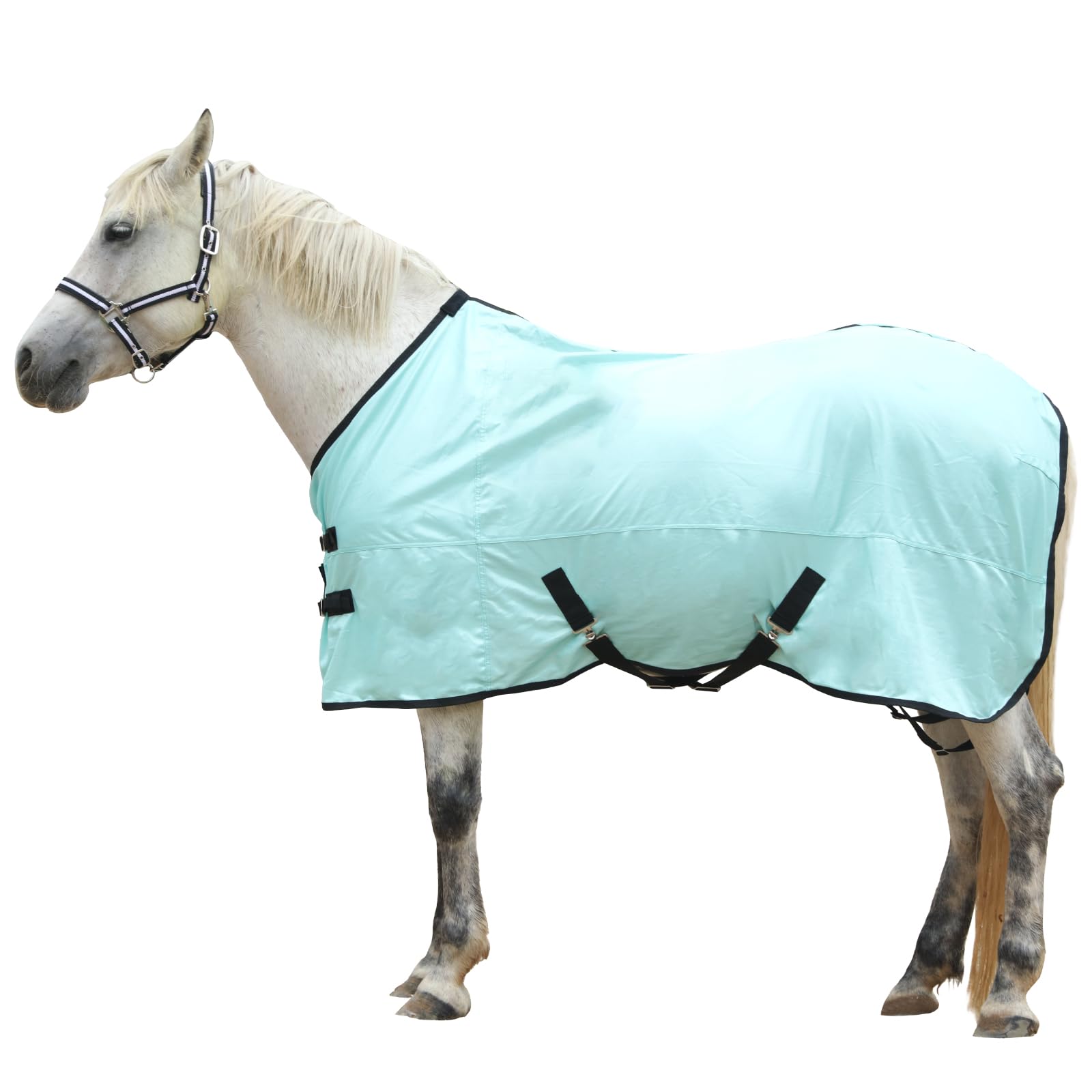 Gallopoff Horse Fly Sheet, Standard Neck Comfy Mesh Fly Sheet For Horses, Equine Summer Sheets Uv-Protective Green 69