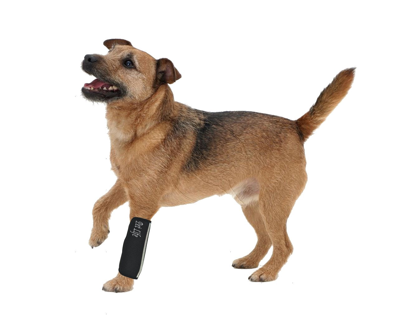 Extreme-Neoprene Joint Protective Reflective Pet Sleeves(D0102H7LZAG.)