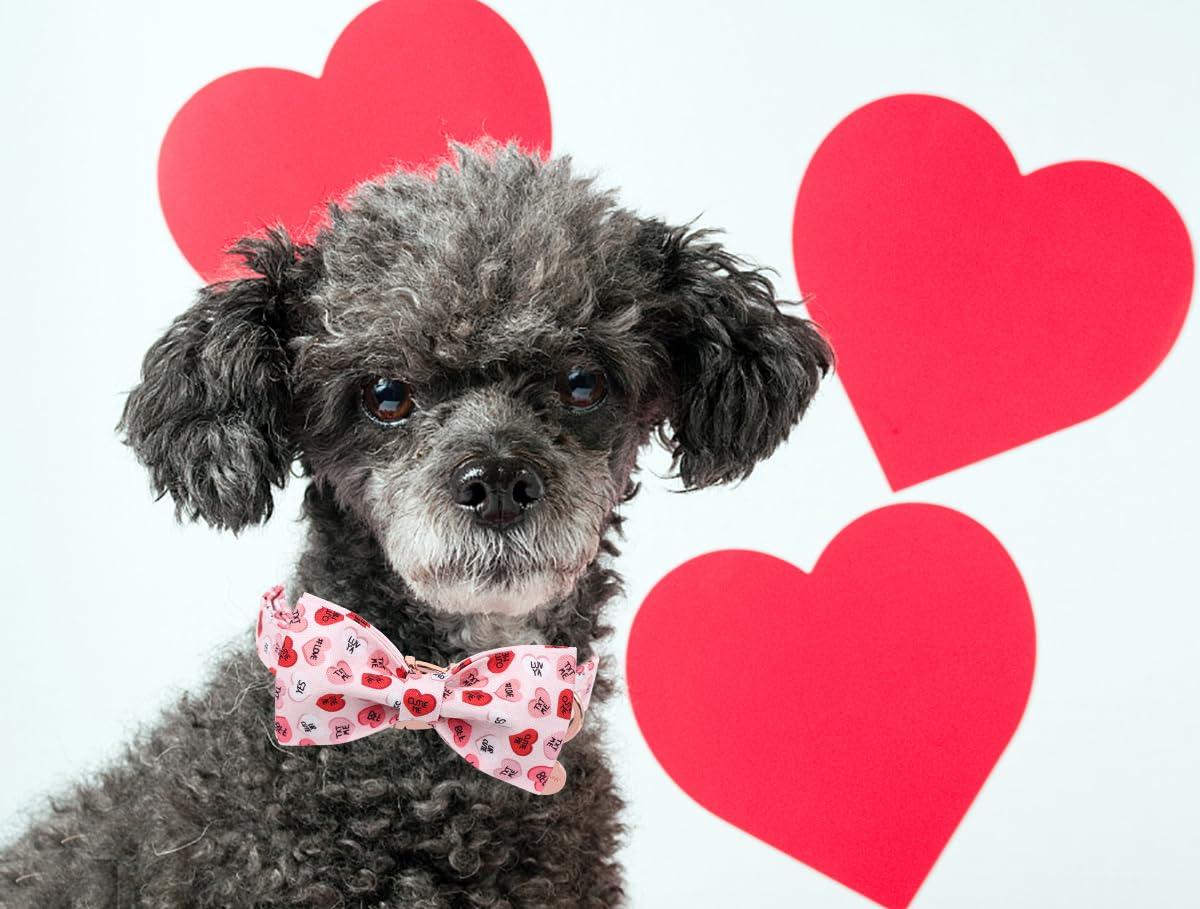 Dogwong Valentine'S Dog Collar With Bow Tie, Adjustable Durable Pink Heart Dog Collar Cute Dog Collar For Small Medium Dogs