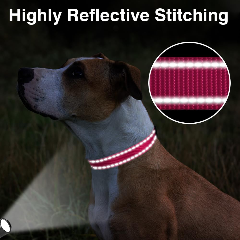 Taglory Reflective Adjustable Dog Collars For Puppy Small Medium Large Dogs, Thin Nylon Webbing And Quick Release Plastic Buckle(Hot Pink,Large)