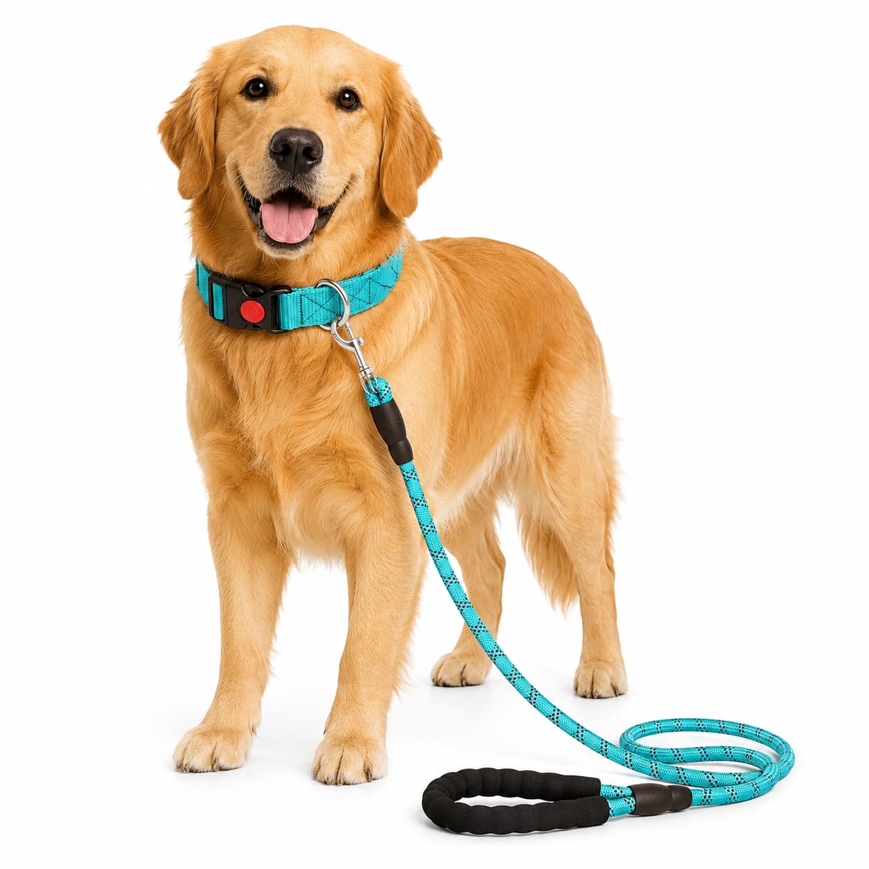 AdilS Nylon Dog Collar & Leash Set Combo Suitable For All Dog Breeds, Reflective Soft Padded Handles For Running, Walking & Trai