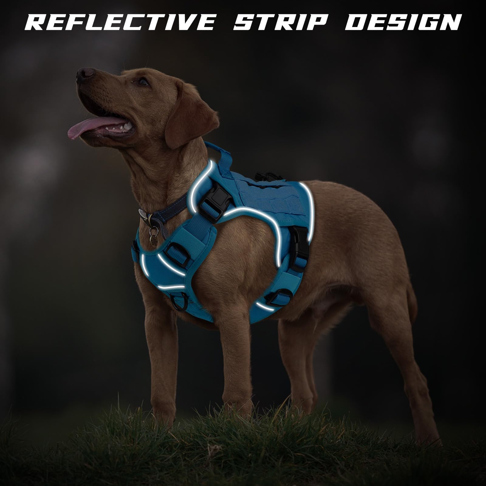 Wingoin Blue Tactical Dog Harness For Large Dogs No Pull Adjustable Pet Harness With Handle Reflective K9 Military Service Dog Vest For Walking Hiking Training (L)