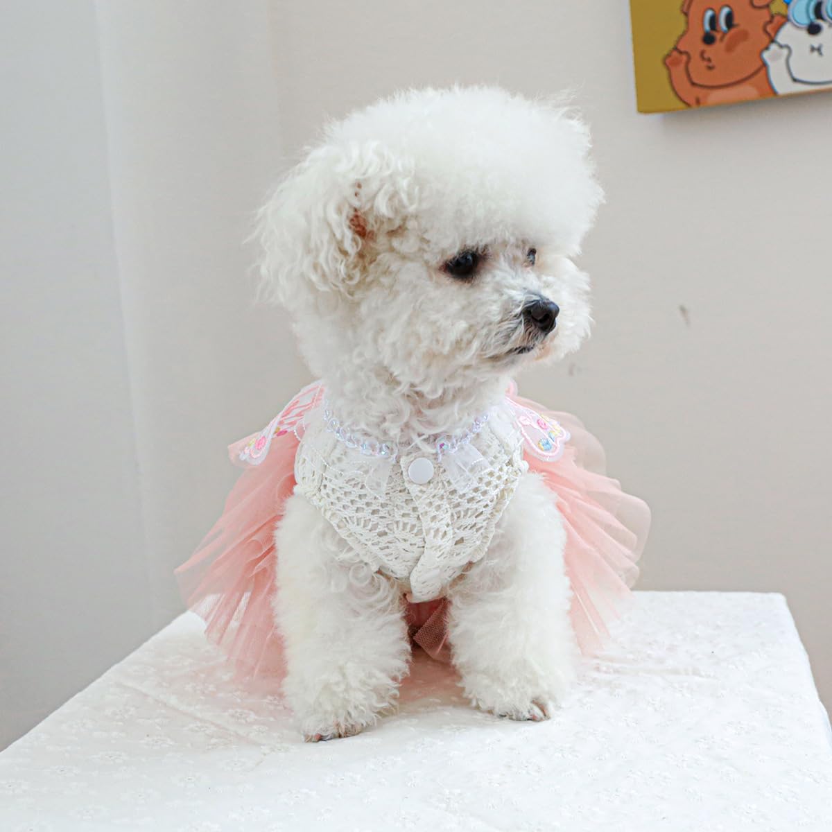 Marupet Fashion Sweet Puppy Dog Blingbling Princess Skirt Pet Dog Lace Cake Camisole Tutu Dress B-Pink S