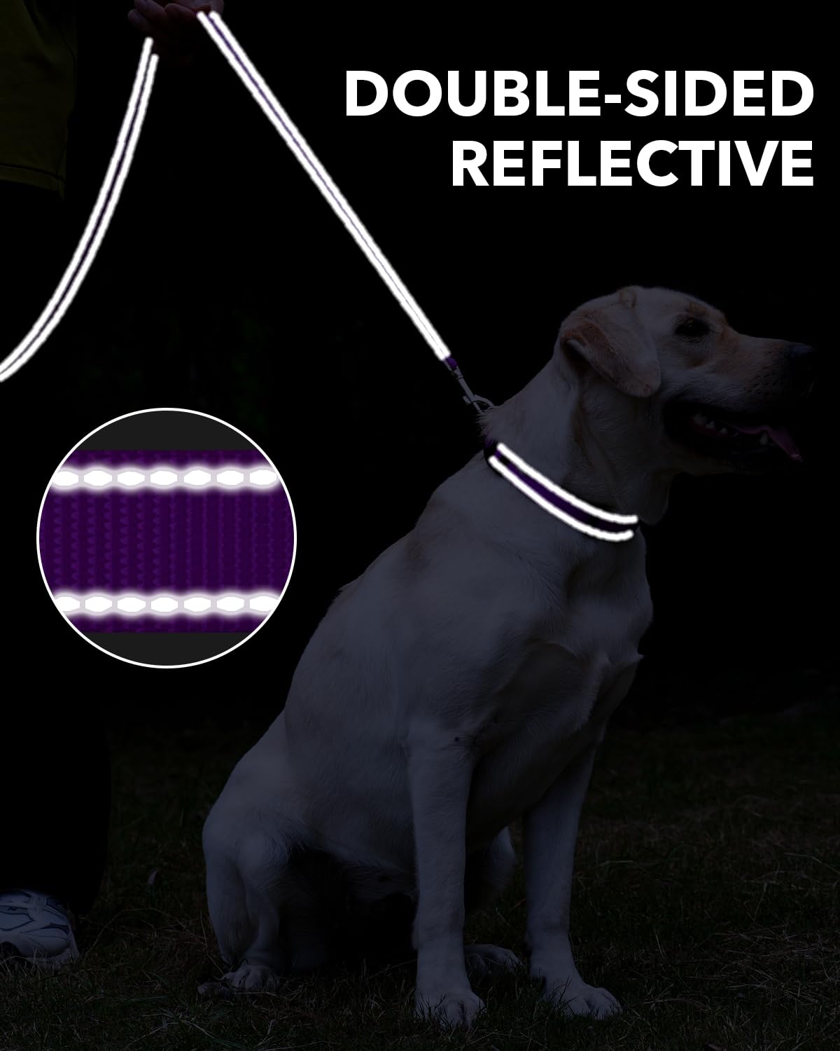 Taglory Double-Sided Reflective Heavy Duty Dog Leash 5Ft,Neoprene Padded Handle And Metal Hook Pet Training Leashes For Small Medium Large Dogs, Purple