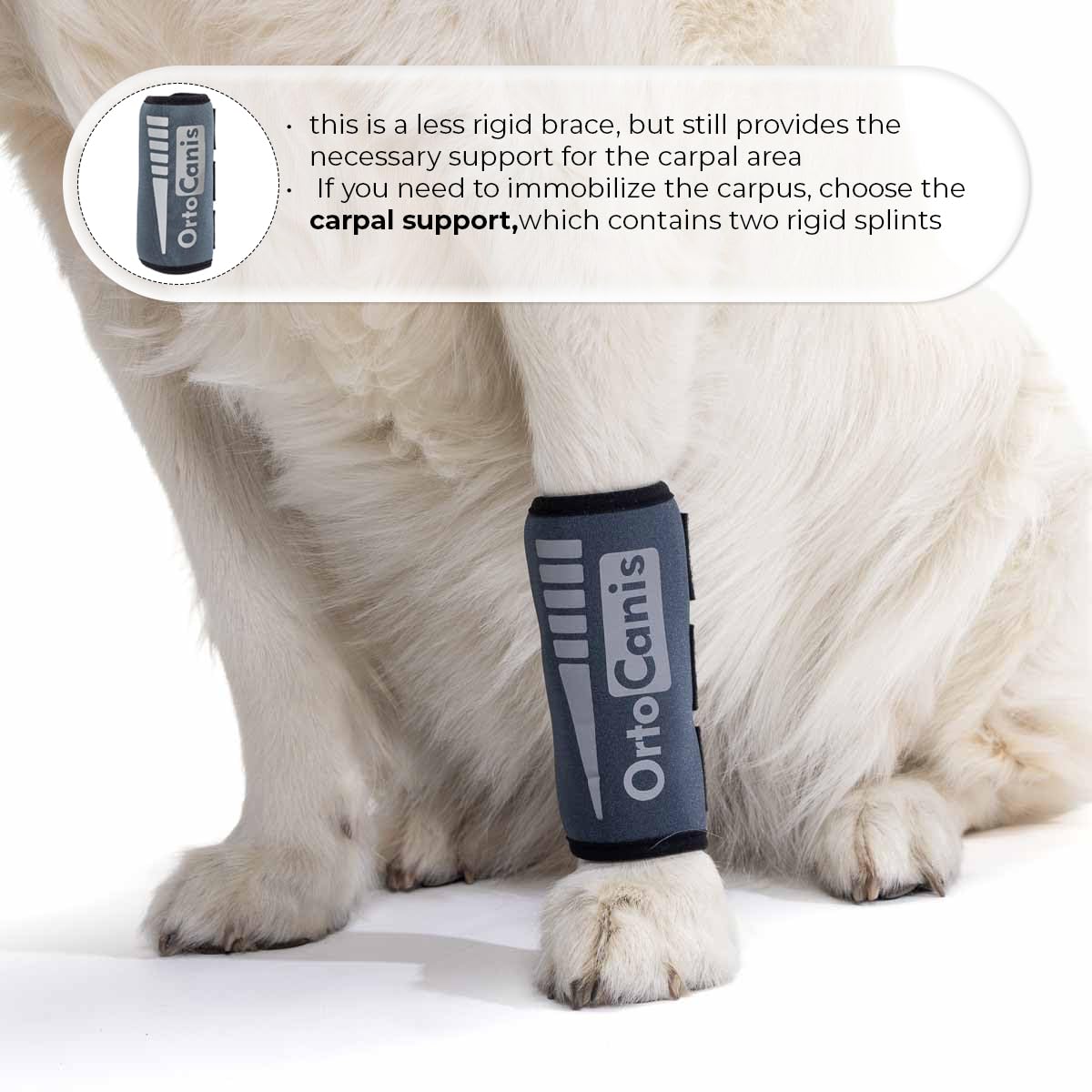 Ortocanis - Carpal Brace for Dogs with Arthrosis, Ligament or Tendon Injuries, or Agility Dogs, Size S