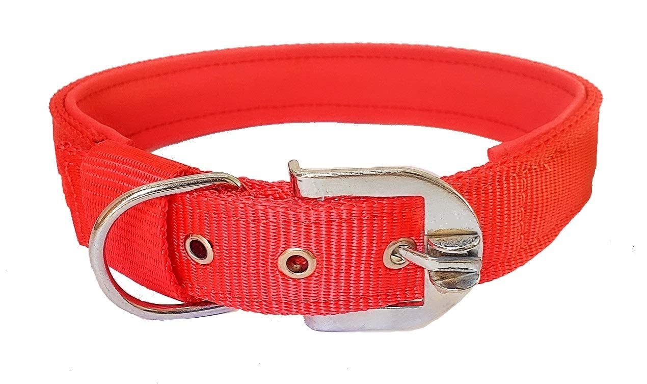 Japin Pure Nylon PinBuckle Dog Collar With UltraSoft Comfortable Padding Inside, Suitable For Large Dogs German Shephard, Boxe