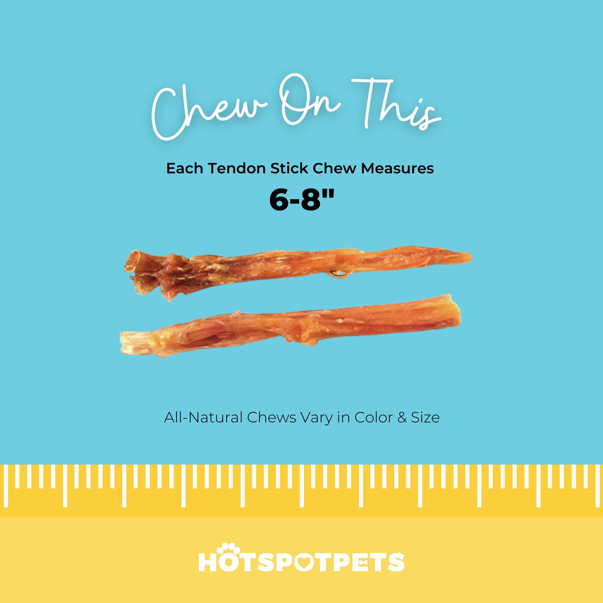 hotspot pets Beef Tendon Chews for Dogs - 8 Inch All Natural, Free-Range, Grass-Fed Premium USDA Gambrol Beef Tendon Stick Treat