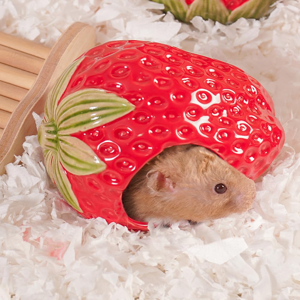 Zhilishu Ceramic Hamster Hideout, Strawberry Hamster House and Habitat, Syrian Hamster Hideout Decor Cool Bed for All Season Ger