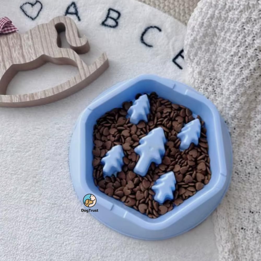 Dog Trust NonSlip Slow Feeder Dog Food Bowl  Interactive Feeding Design Prevents Choking, Aids Digestion & Makes Mealtime Fun 