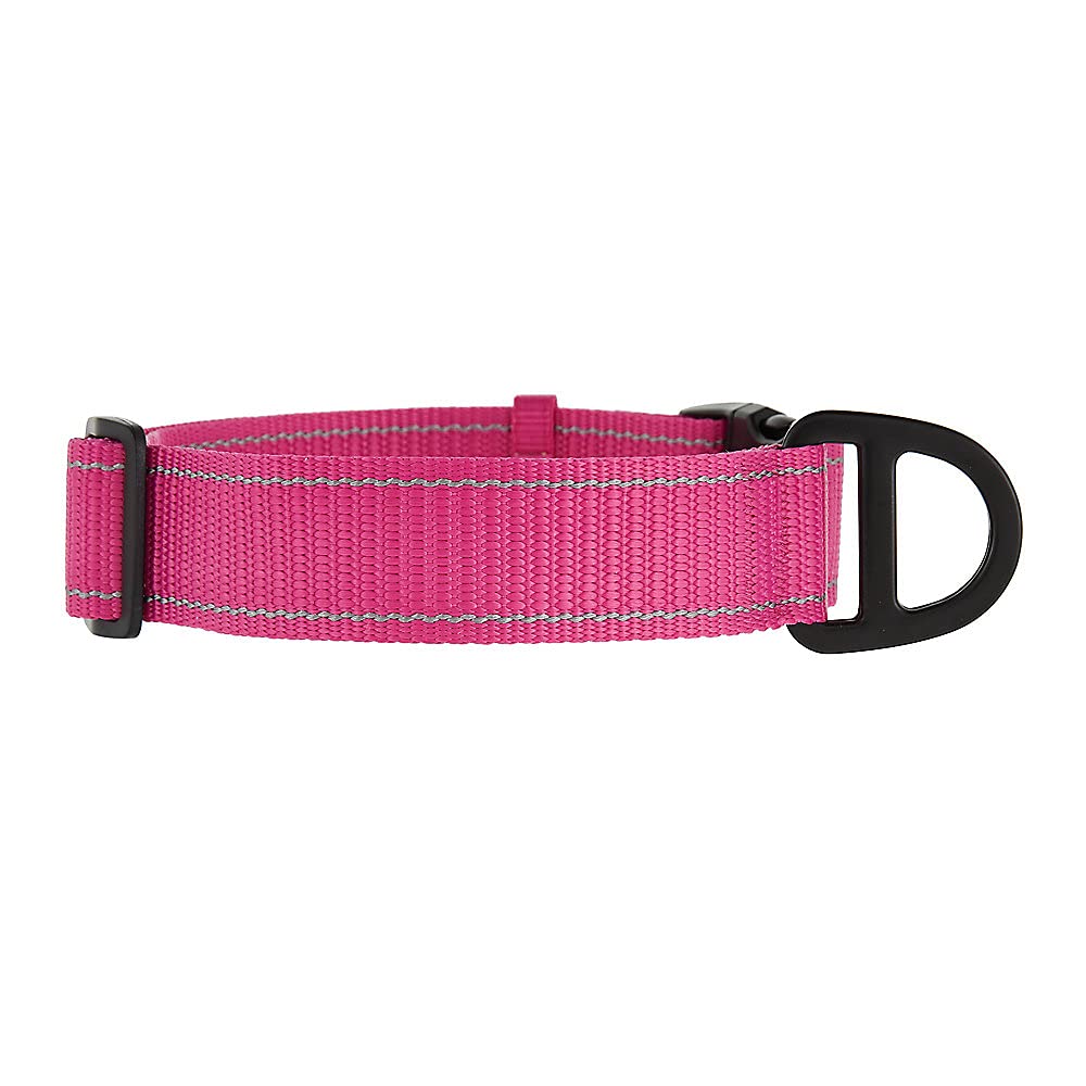 Kong Max Hd Ultra Durable Dog Collar (Xl, Pink)