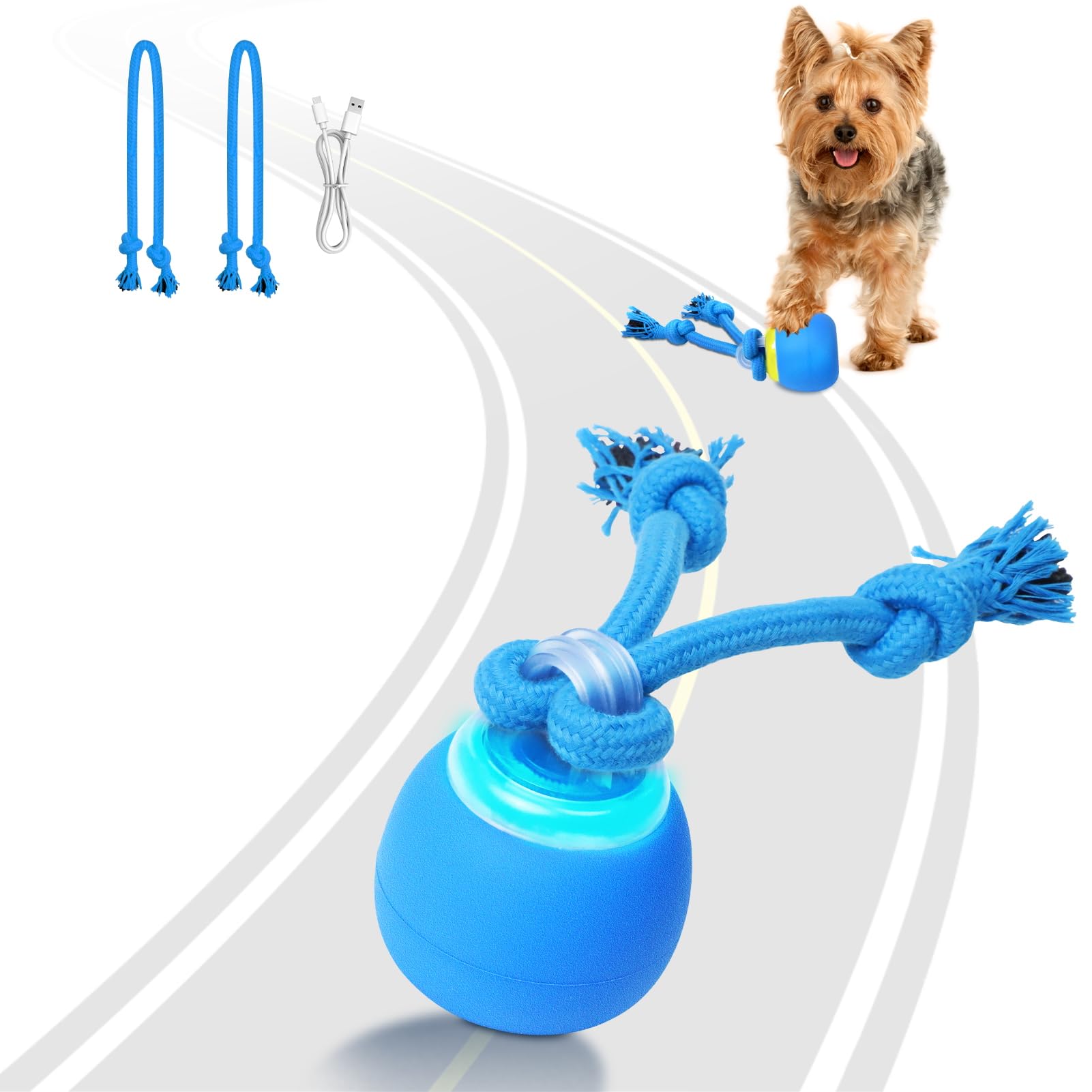 Saolife Interactive Dog Toys, Moving Dog Ball with Touch Activated, Active Rolling Ball for Puppy and Medium Dogs, Squeaky, USB 