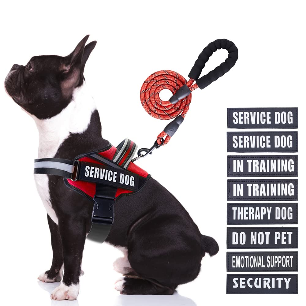 Service Dog Vest Harness And Leash Set, Animire In Training Dog Harness With 8 Dog Patches, Reflective Dog Leash With Soft Padded Handle For Small, Medium, Large, And Extra-Large Dogs (Red,M)