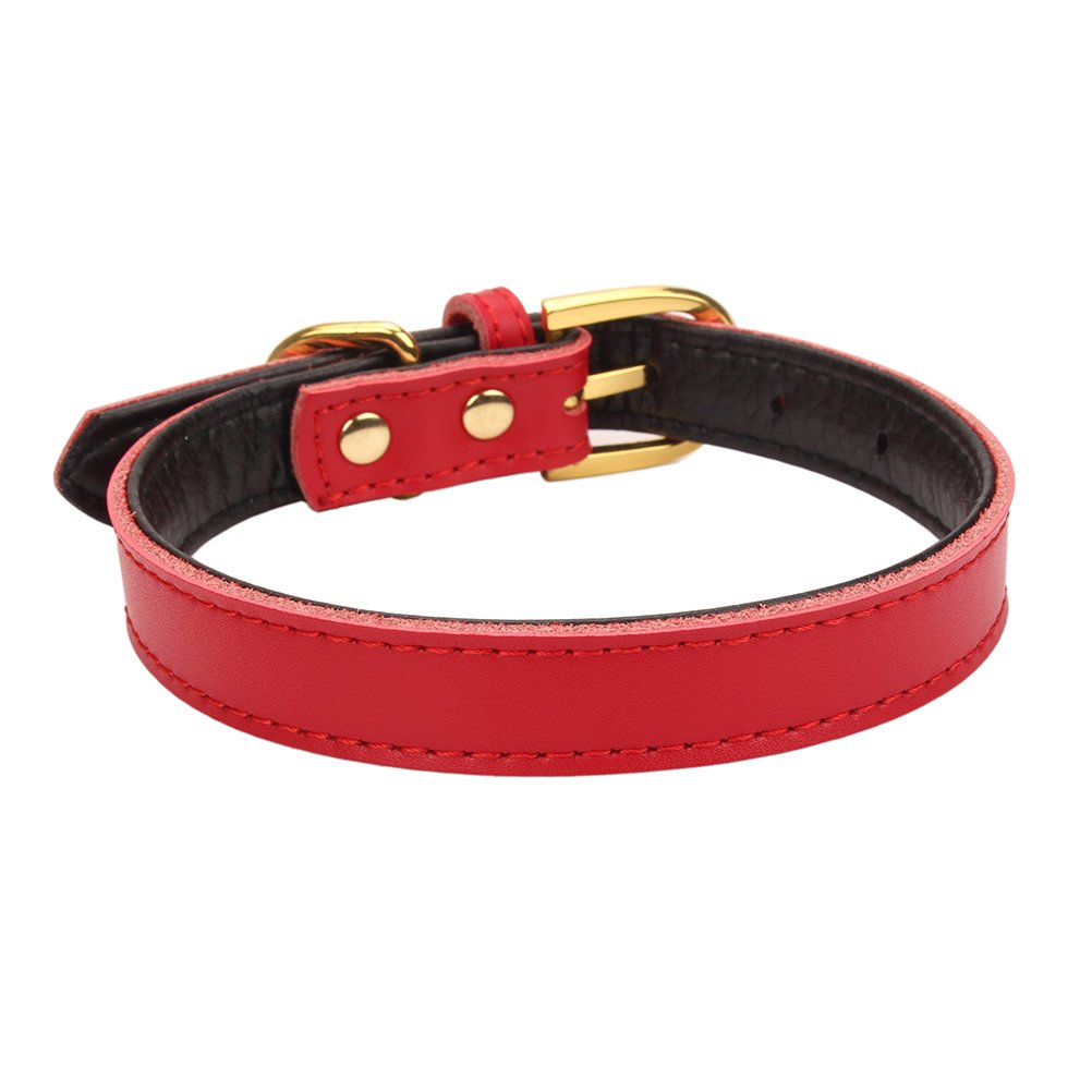 Aolove Basic Classic Padded Leather Pet Collars For Cats Puppy Small Medium Dogs (Large, Red)