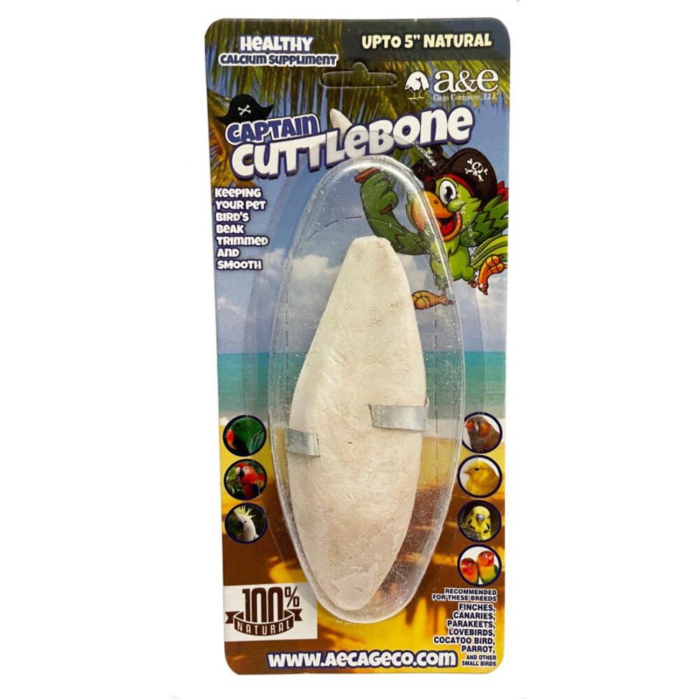 A&E Cage Company Natural Flavoring 6in Cuttlebone Single