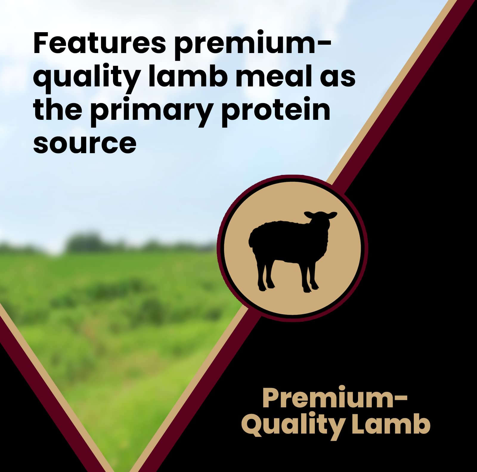 VICTOR Super Premium Dog Food - Lamb Meal & Brown Rice Formula - Gluten-Free Dry Dog Food for All Normally Active Dogs of All Li