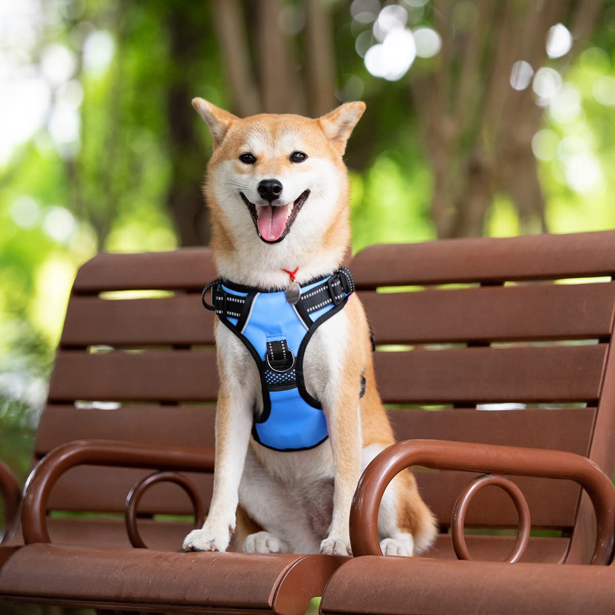 Poypet Dog Harness No Pull, Reflective With Front & Back 2 Leash Hooks And An Easy Control Handle Pet Harness For Puppy Small Dog, Adjustable Soft Padded Vest Harness(Blue,S)