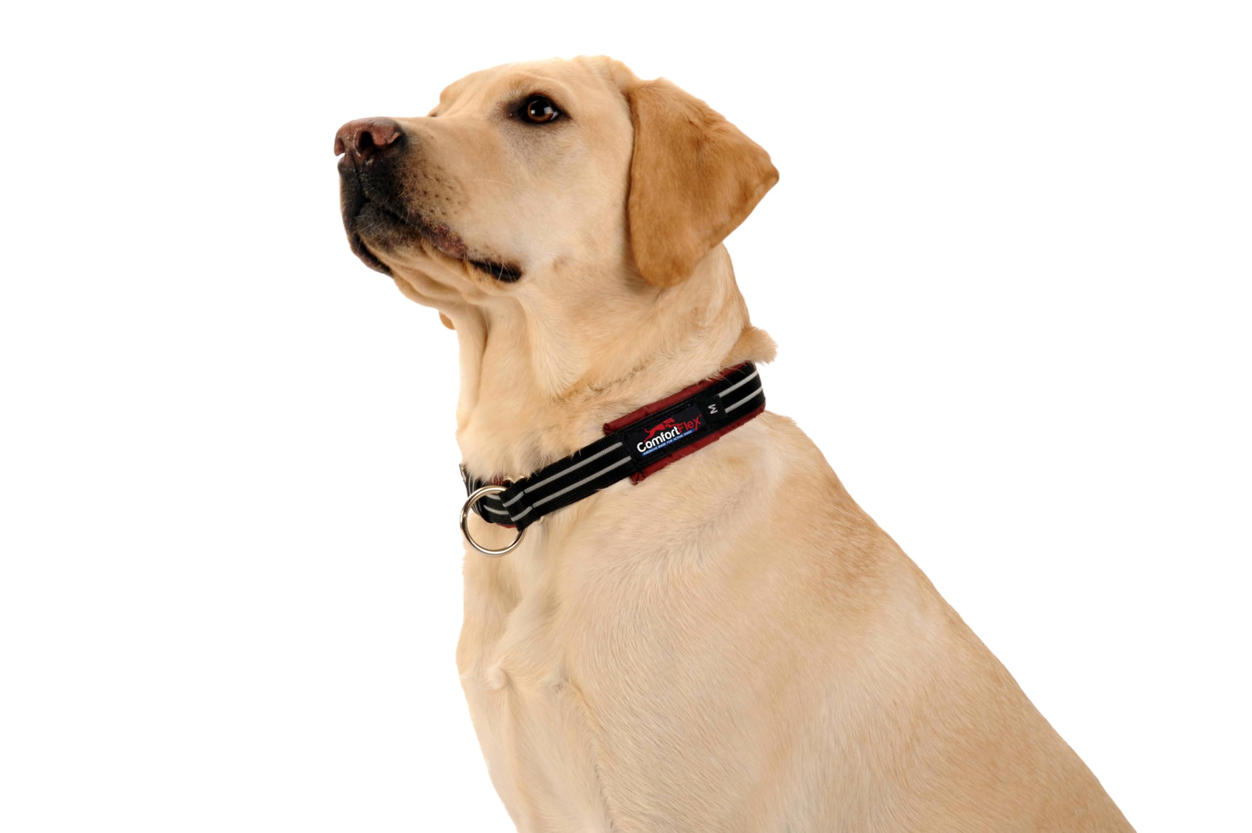 Comfortflex Martingale Collar For Dogs - American Made Slip Collar, Reflective, Adjustable, No Pull Training Collar For Medium Dogs – Soft, Wide, Fully Padded, Escape Proof - Medium, Hot Pink