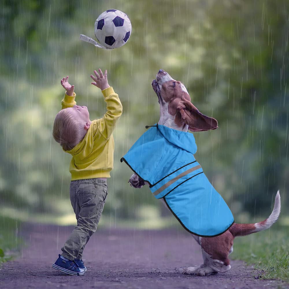 Ezierfy Waterproof Hooded Dog Raincoat - Adjustable Reflective Pet Jacket, Lightweight Dog Slicker Poncho For Small To X- Large Dogs And Puppies (Blue, Large)