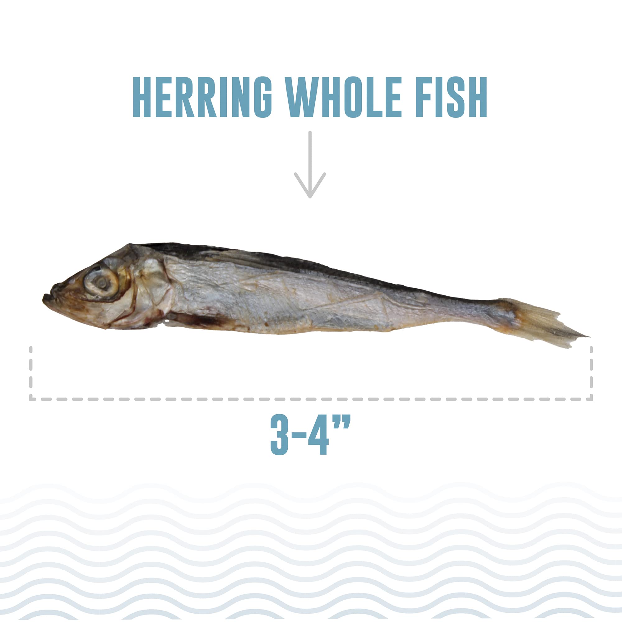 ICELANDIC  DOG HERRING FISH WHOLE BULK 9oz.