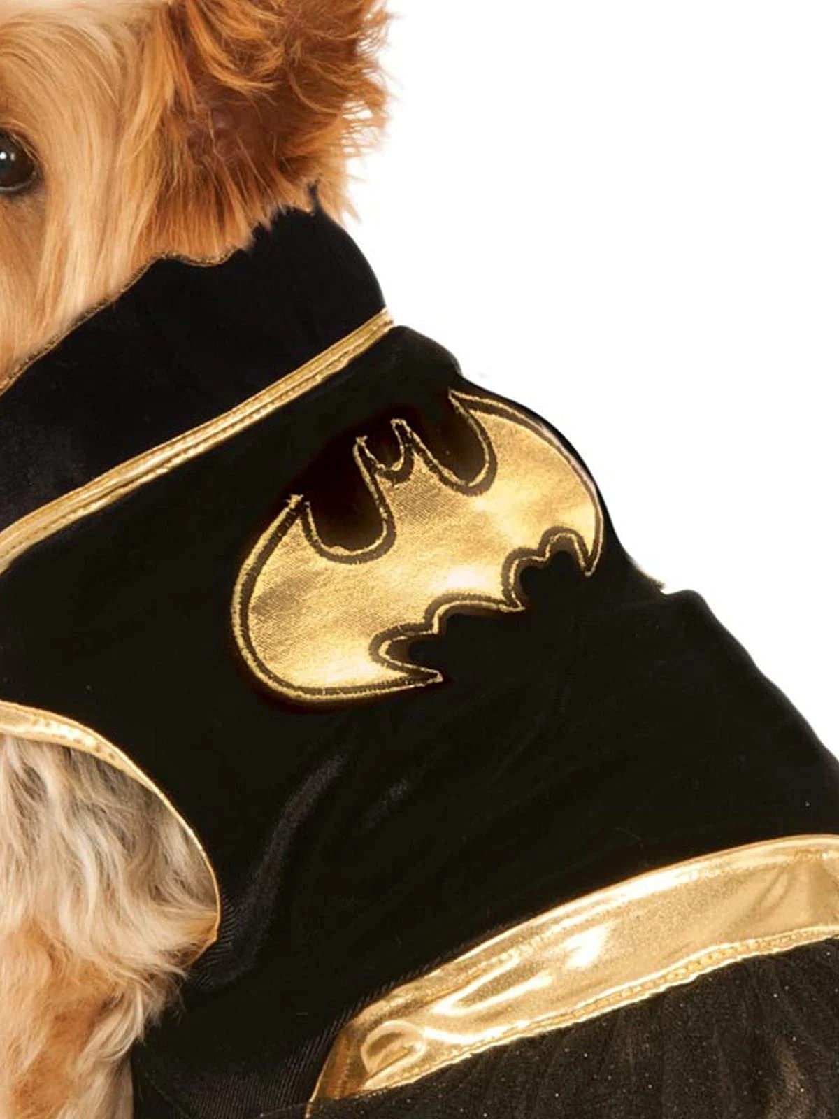 Rubie'S Dc Comics Batgirl Pet Tutu Dress, Small