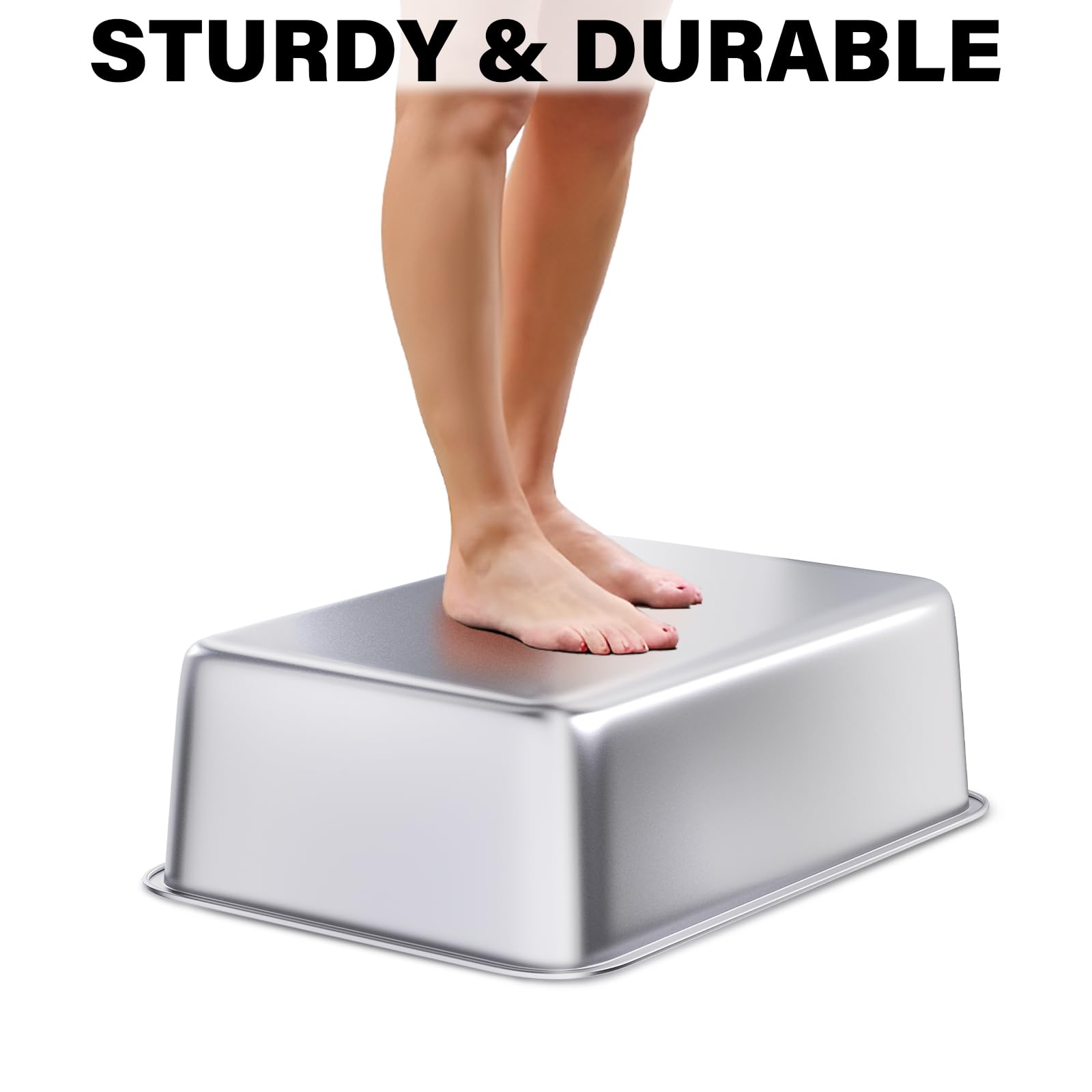 LEGOURNS Stainless Steel Litter Box - Large 20"x14"x6", High Sided, Easy Clean, Silver, Model BC-sp503515-PO for Adult Cats/Kittens