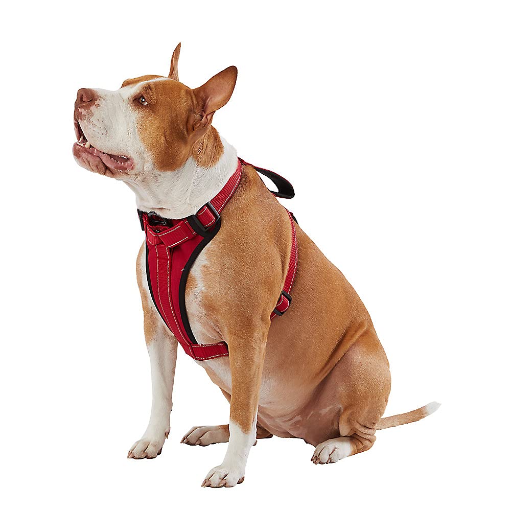 Kong Max Ultra Durable Neoprene Padded Chest Plate Dog Harness Offered By The Barker Company (Red, Medium)