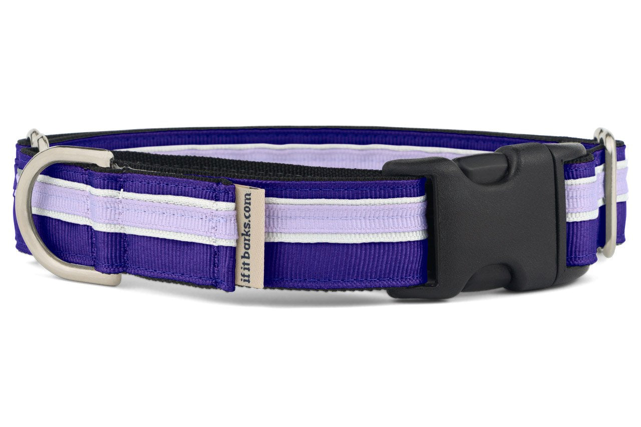 If It Barks 1' Martingale Collar With Quick Snap Release Buckle, Adjustable, Usa Made, Large, Grape Crush