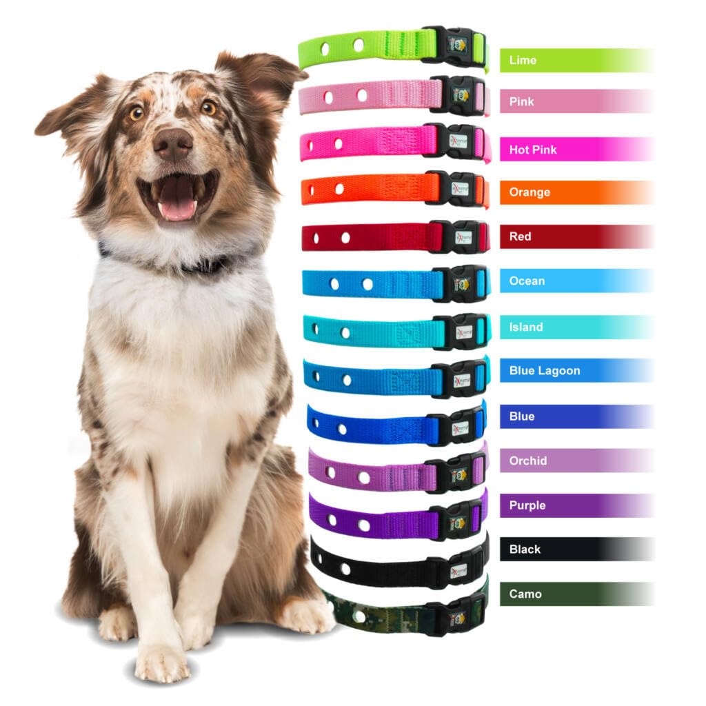 Extreme Dog Fence Dog Collar Replacement Strap - Lime - Compatible With Nearly All Brands And Models Of Underground Dog Fences