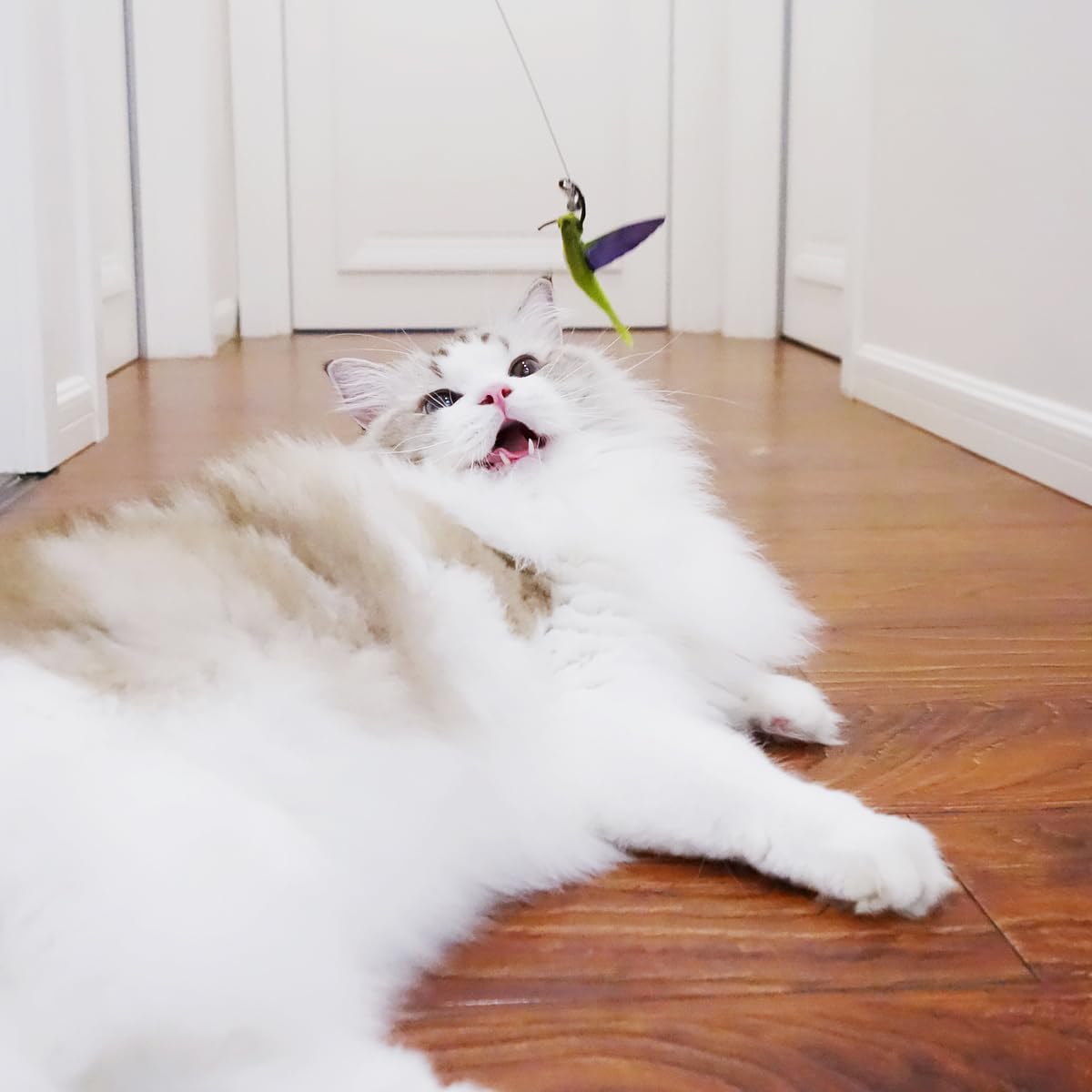 Ttcat Cat Feather Toys Replacement,3 Pcs Hummingbird Insect Feathers Refills For Cat Wands.