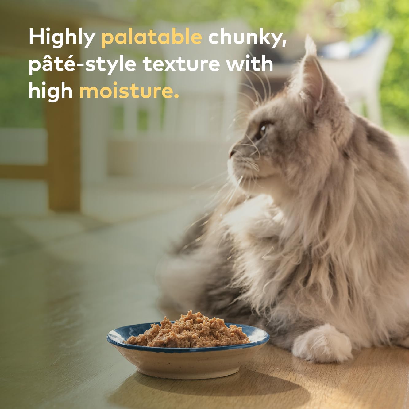 Ziwi Peak, Canned Wet Cat Food All Natural High Protein, Grain Free, Limited Ingredient, with Superfoods, 6.5 Ounce (Pack of 12)