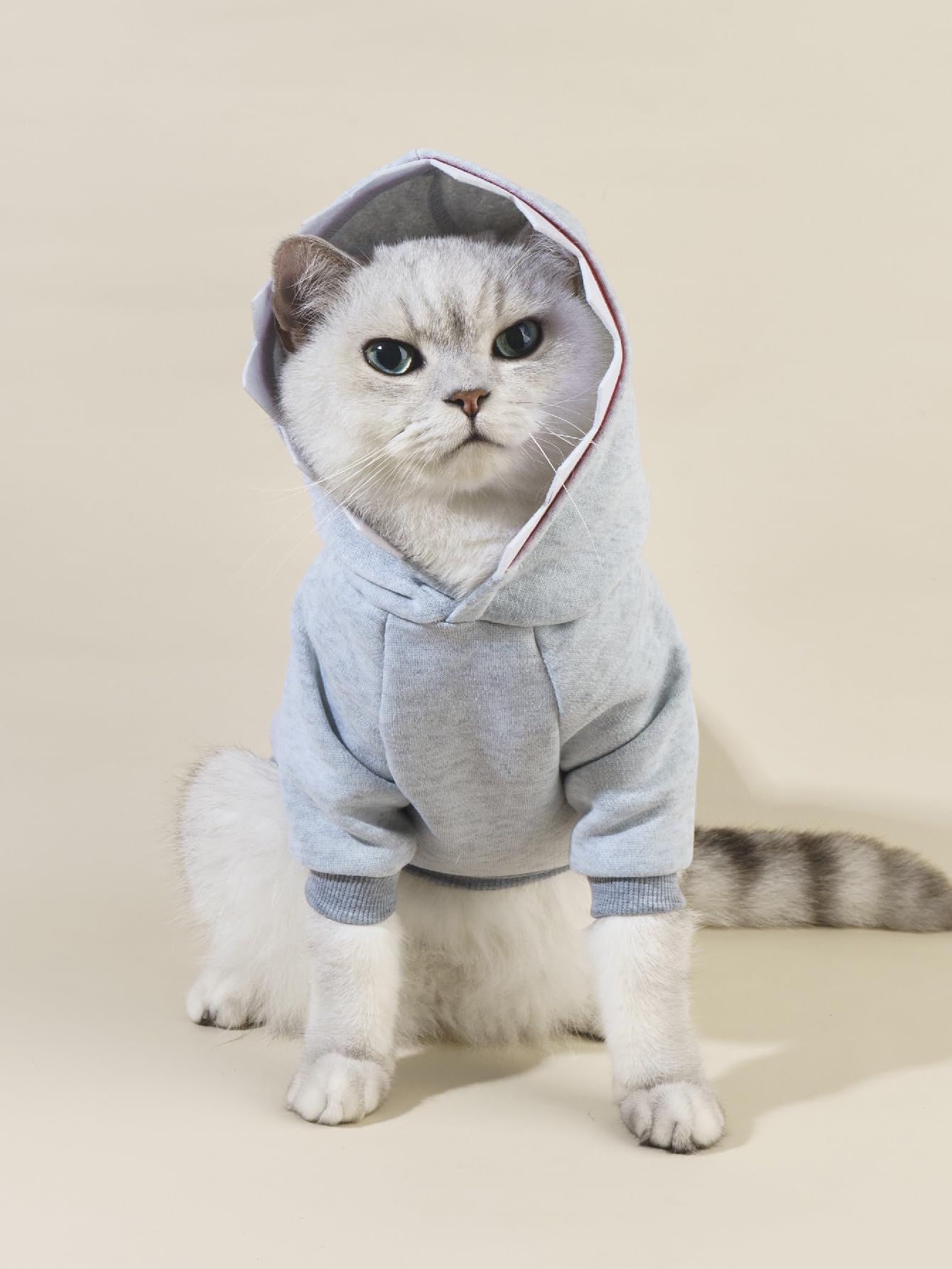 Qwinee Shark Dog Hoodie Dog Warm Jacket Coat Puppy Sweatshirt Christmas Halloween Dog Costume Cosplay Winter Dog Clothes Pet Apparel For Small Medium Dogs Cats Kitten Grey S