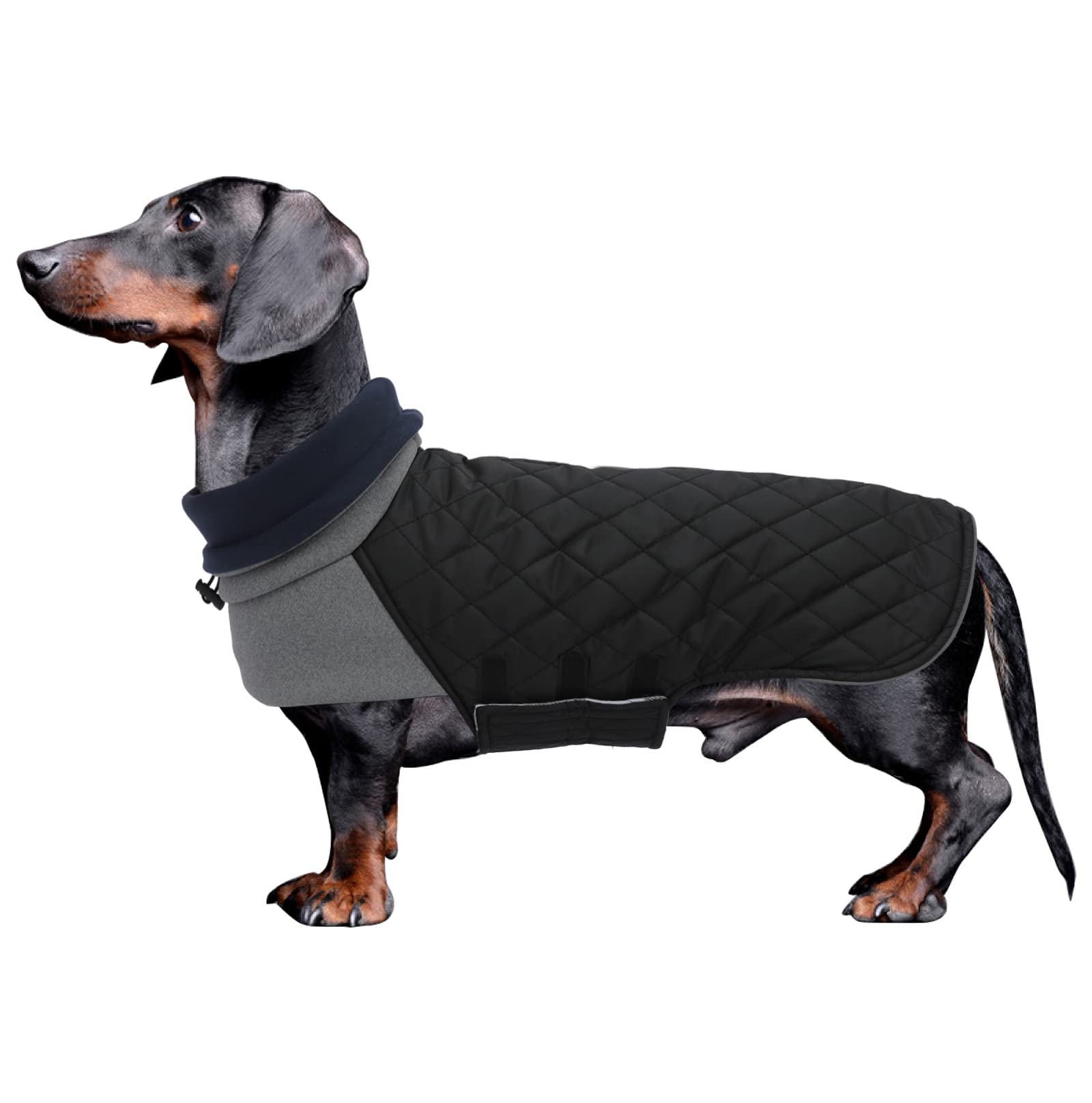 Geyecete Dachshund Coat Winter,Warm Dachshund Coat Waterproof Windproof, High Neckine String Holes Miniature Dachshund Jacket Fo