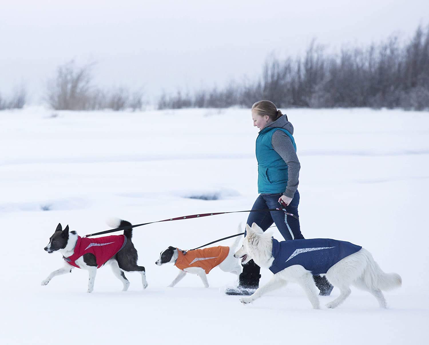 Rc Pet Products Cascade Dog Coat, Essential All Weather Dog Jacket, Size 16, Arctic Blue