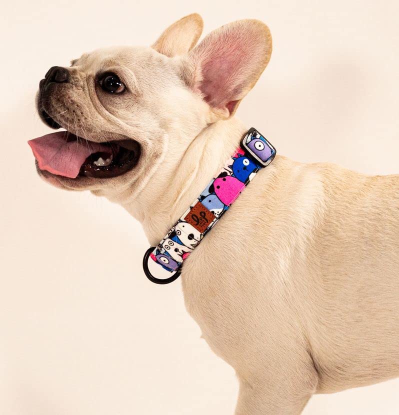 Lana Paws Polyester Poly Canvas Googly Eyes Durable Fabric Dog Collar Belt For Medium Dogs_Pack Of 1,Blue, 45.7L X 2.5W Centimet