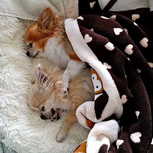 Snuggle Puppy Blanket For Pets - Extra Soft And Long Lasting - Brown Pattern