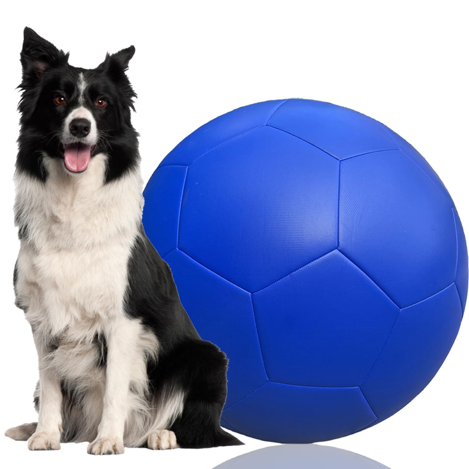 MUCIORELY 20 Herding Ball for Dogs
