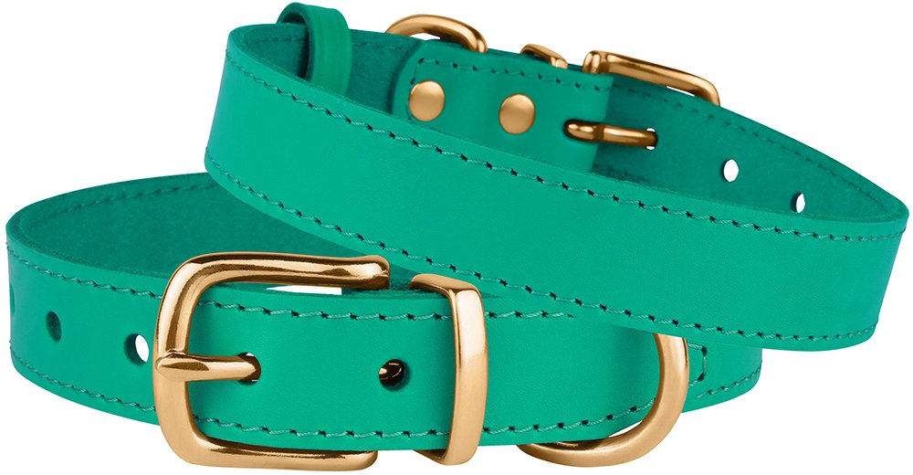 BRONZEDOG Leather Dog Collar - Durable Metal Buckle, 14-17 Inch, Green & Gold Buckle for Small Medium Large Dogs
