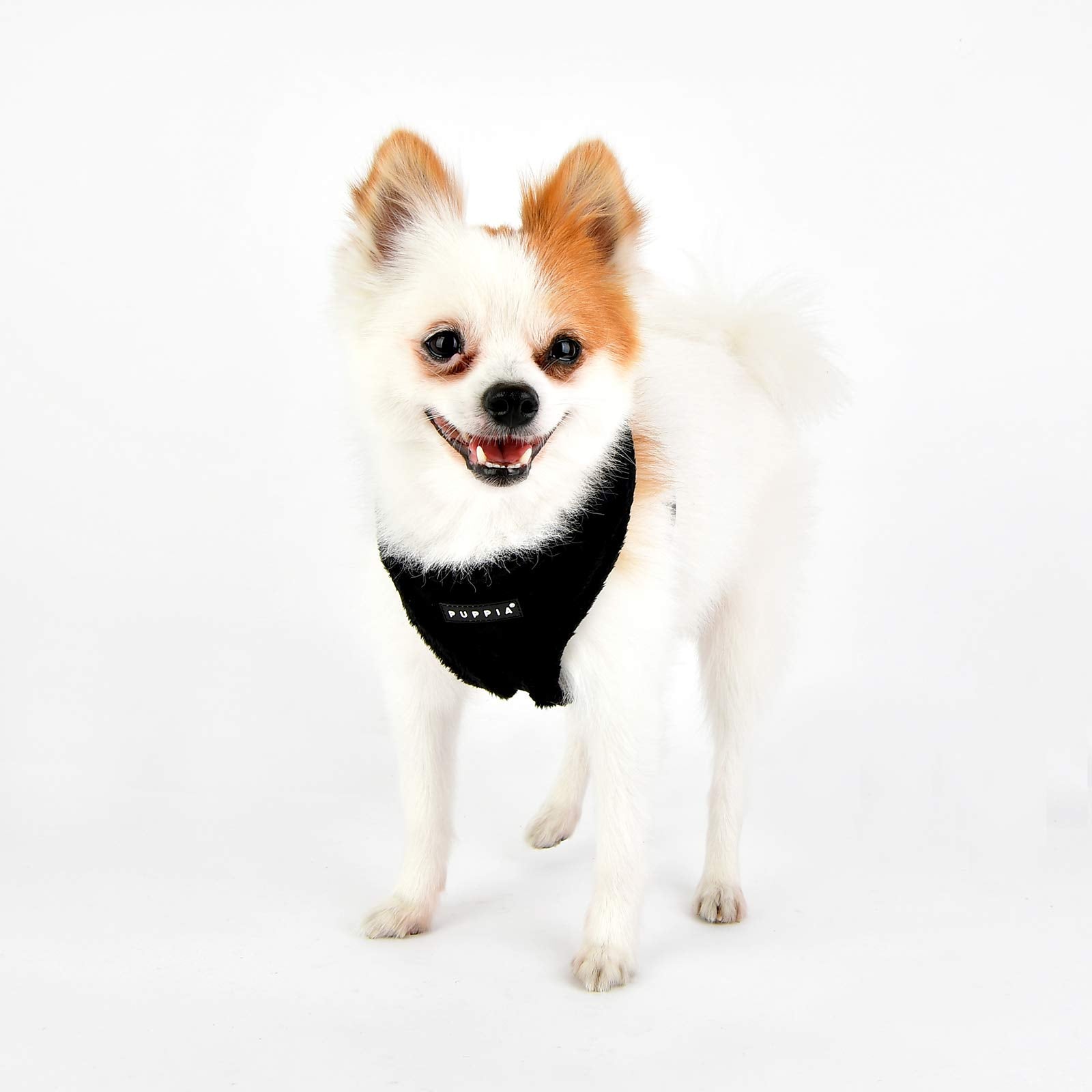 Puppia Terry Dog Harness Over-The-Head Winter Suede Warm No Choke No Pull Training Walking For Small And Medium Dog, Black, Medium