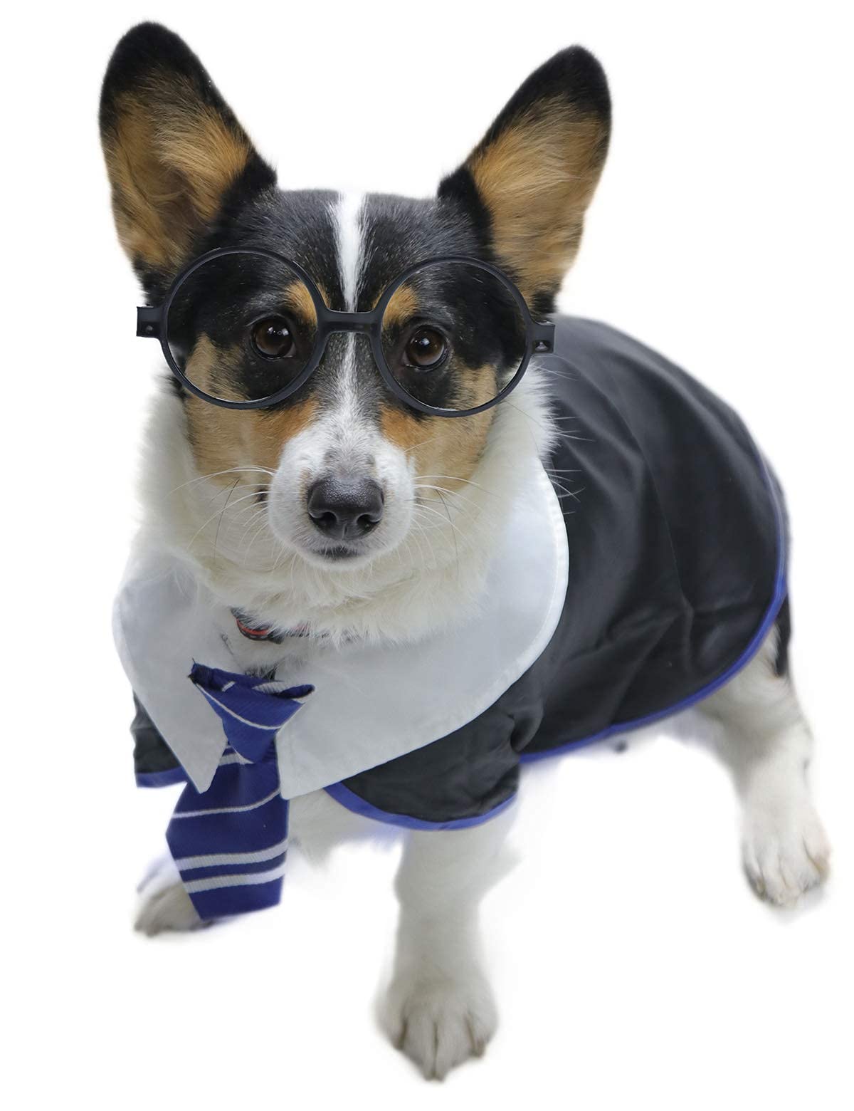 Impoosy Pet Halloween Dog Shirts Funny Cat Wizard Costume Cute Apparel Soft Clothes With Glasses (Large,Neck:18')