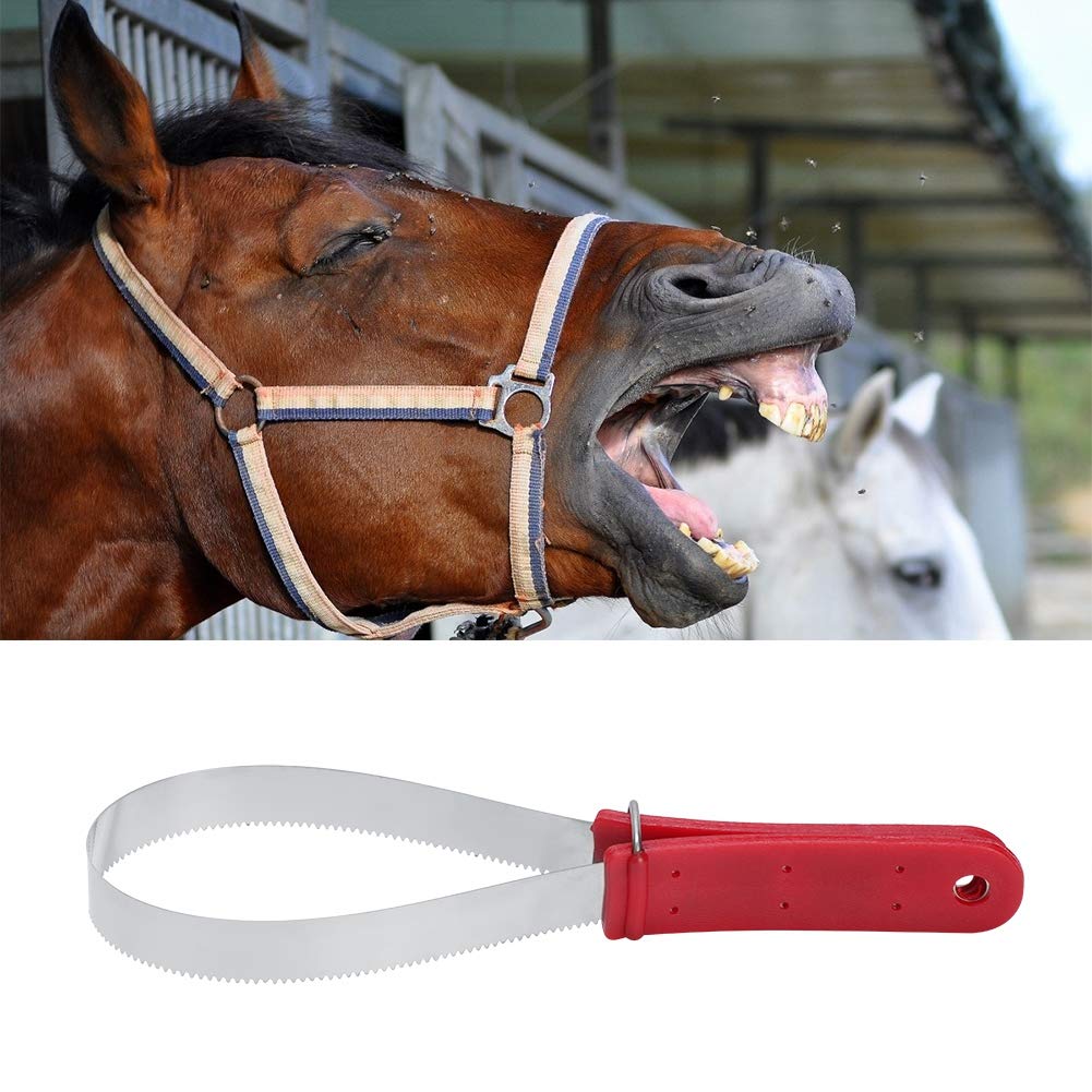 QANYEGN Stainless Steel Shedding Blade, Dog Shedder Scraper Tool Nonslip Handle, Multi Purpose Grooming Scratching ARY for Dogs,