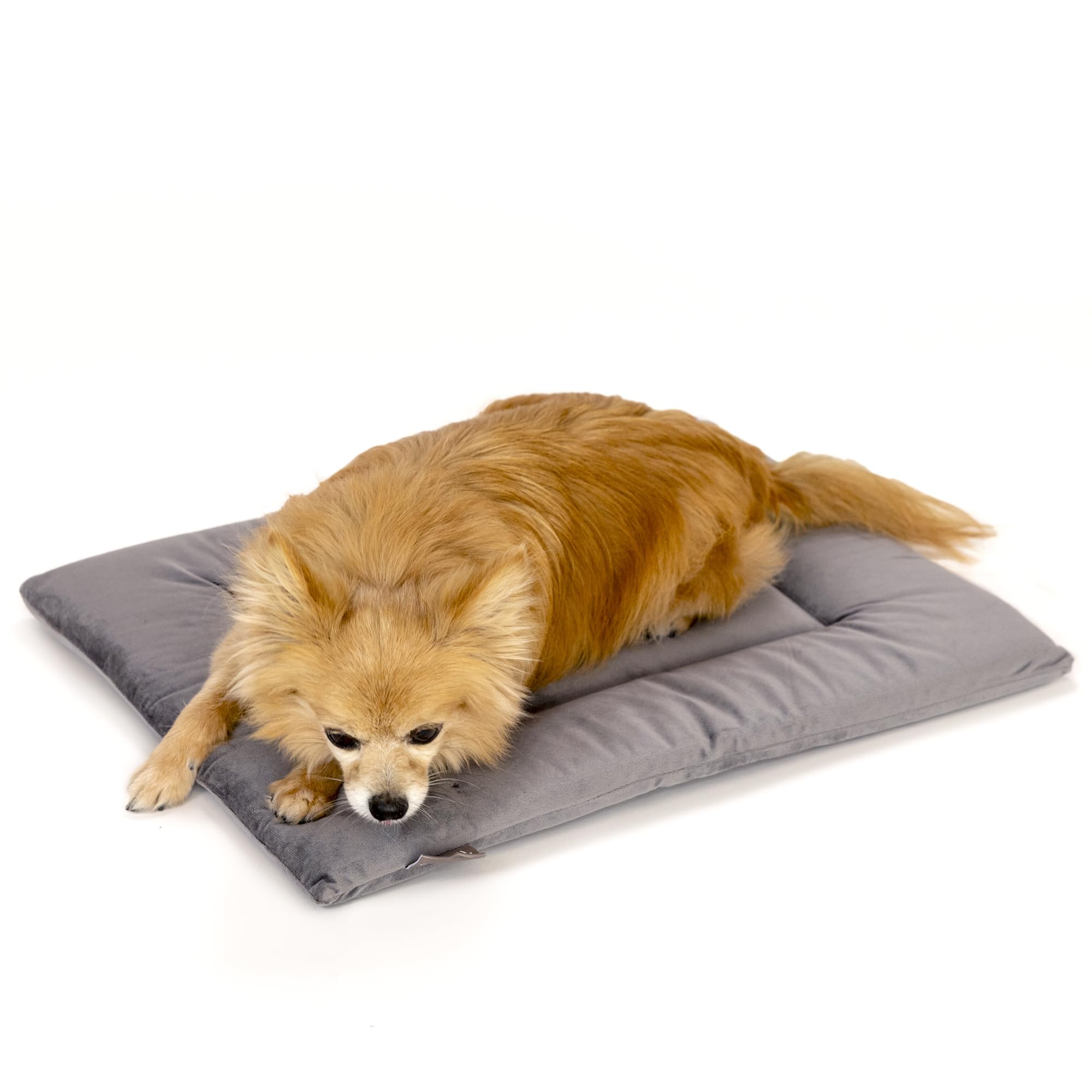 KindTail Dog Crate Pad, Soft Velvet, Reversible Dog Bed Mat, Machine Washable Dog Bed, Kennel Pad for Dogs and Cats, Dog Crate M
