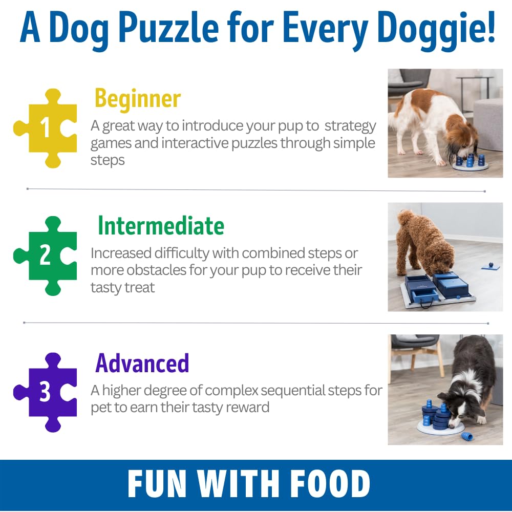 TRIXIE Poker Box 2 Strategy game, Advanced Dog Puzzle Toy, Level 3 Activity, Treat Puzzle, Interactive Play, Enrichment