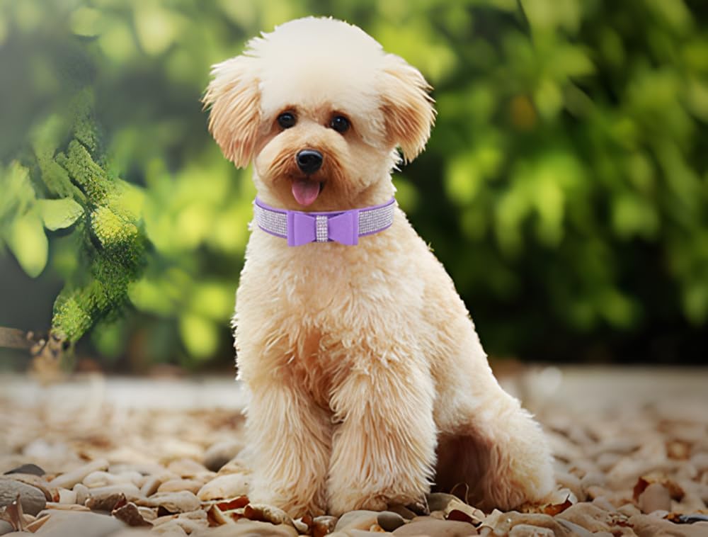 Purple Girl Dog Collars For Medium Dogs With Bow, Bling Rhinestone Puppy Collar Diamond Cat Collars Sparkly Jewelry Cute Adjusta
