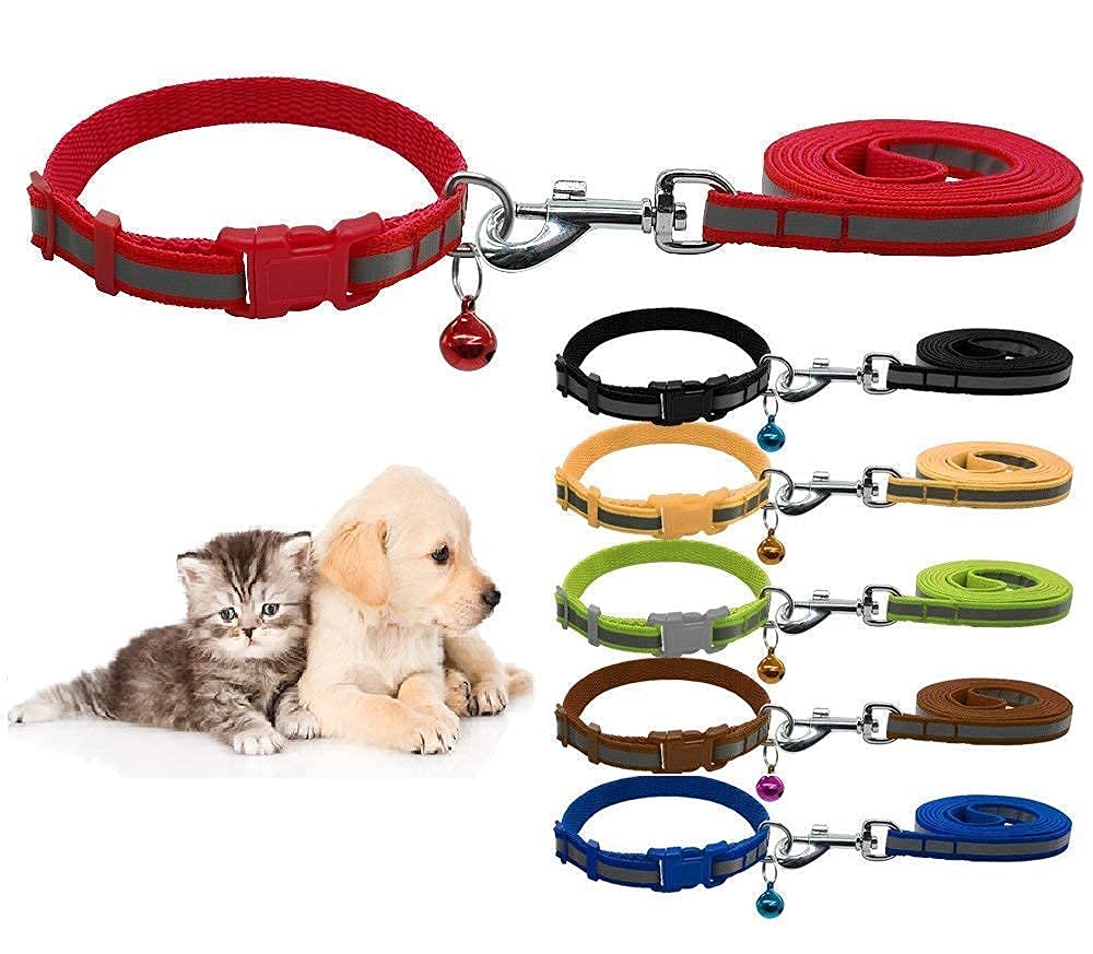 Dog Trust Reflective Leash Collar For Puppy Set With Bell For Cats And Dogs 10Mm, Colour May Vary