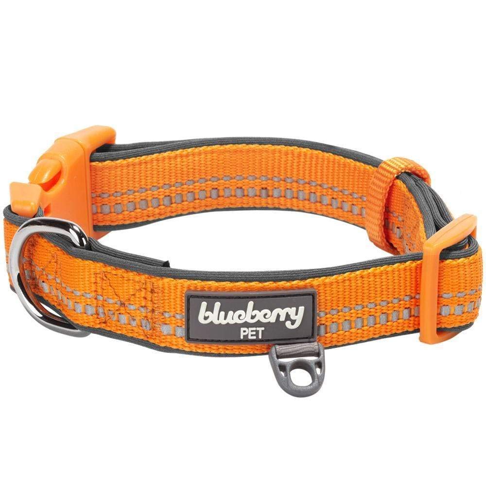 Blueberry Pet Soft & Safe 3M Reflective Neoprene Padded Adjustable Dog Collar - Orange Peel, Medium, Neck 14.5'-20'