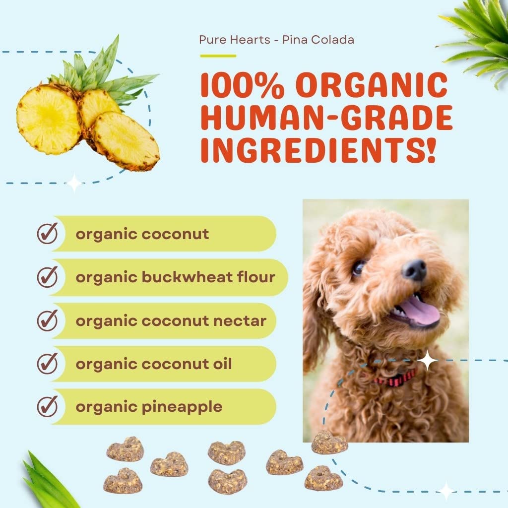 Cocotherapy Pure Hearts Coconut Cookies - Pina Colada (Pineapple Coconut), (1 Pouch), 5 Oz.